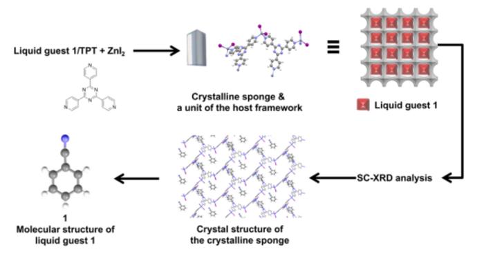 USTC Proposes Crystalline Sponge Method for Undergraduate Course