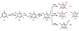 Evidence Proves Essential Role of O2-bridged Bicyclic Compounds in Formation of Secondary Organic Aerosol