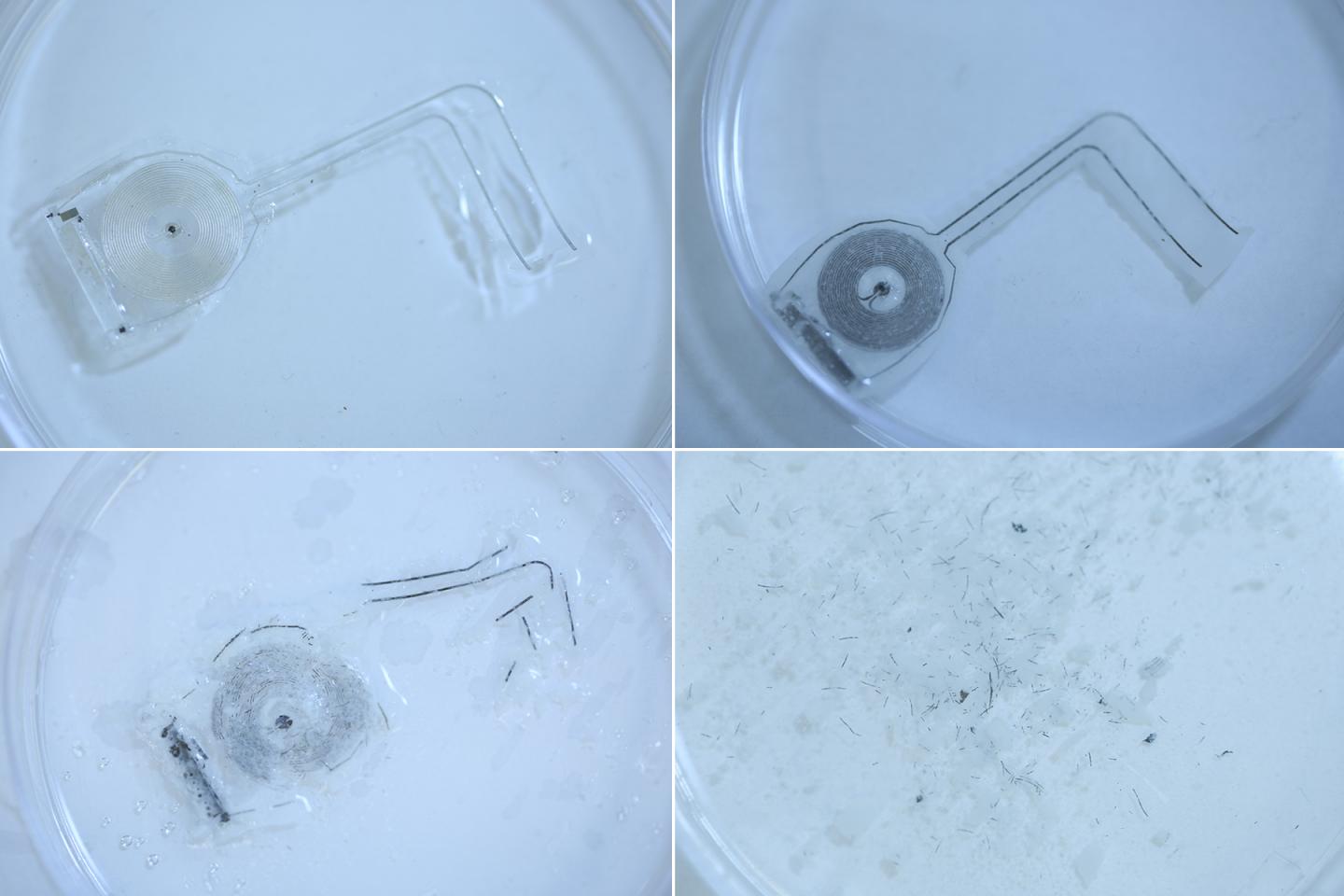 Bioresorbable Device