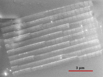 Ferroelectric Nanostructures SEM