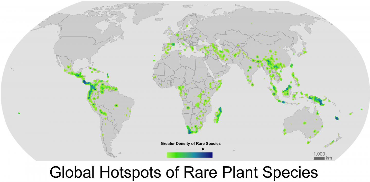 Mapping Rarity