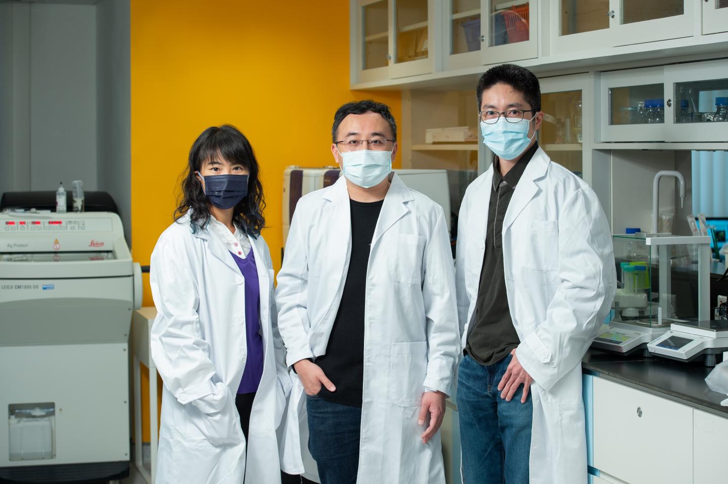 A research team led by Professor Gary Wong Ka-Leung (centre), Dr Lung Hong Lok (right) and Dr Law Ga-lai