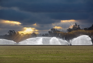 Irrigation