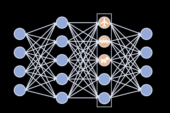 Duke team disentangles neural networks to understand how they see the world