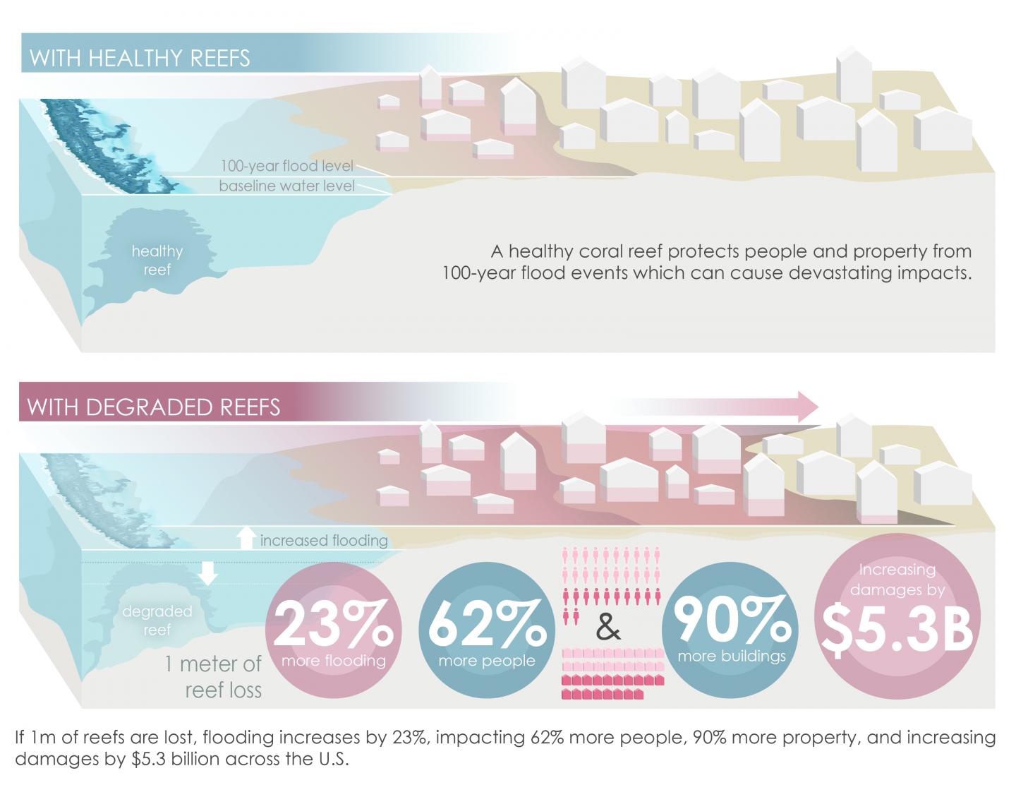 Flood Reduction by US Reefs