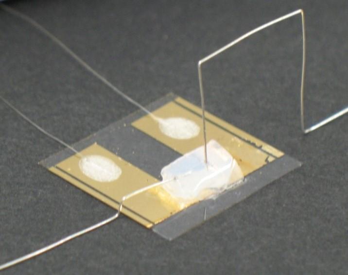 Setup of the Single-atom Transistor