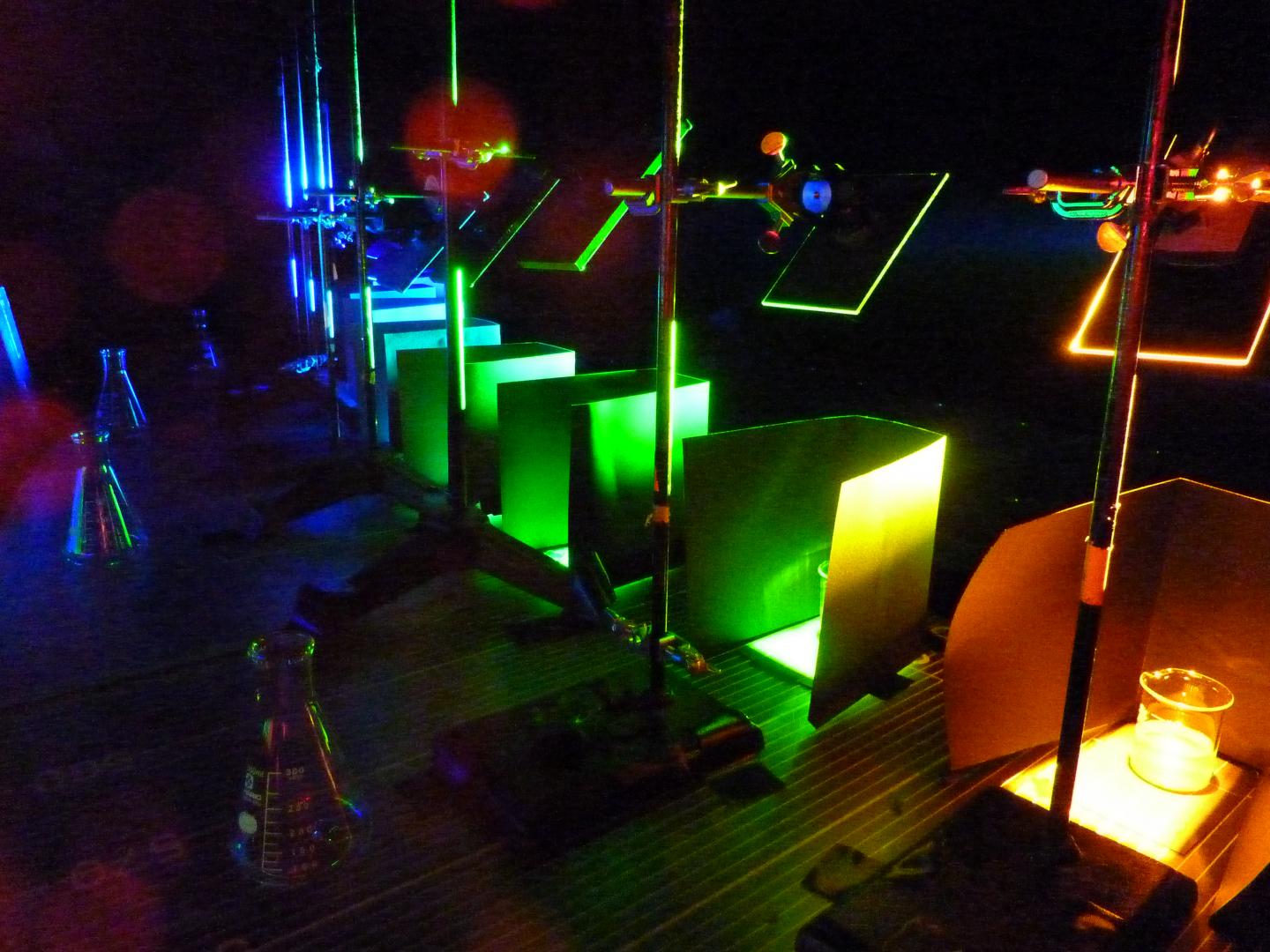 Light-Testing Bacteria