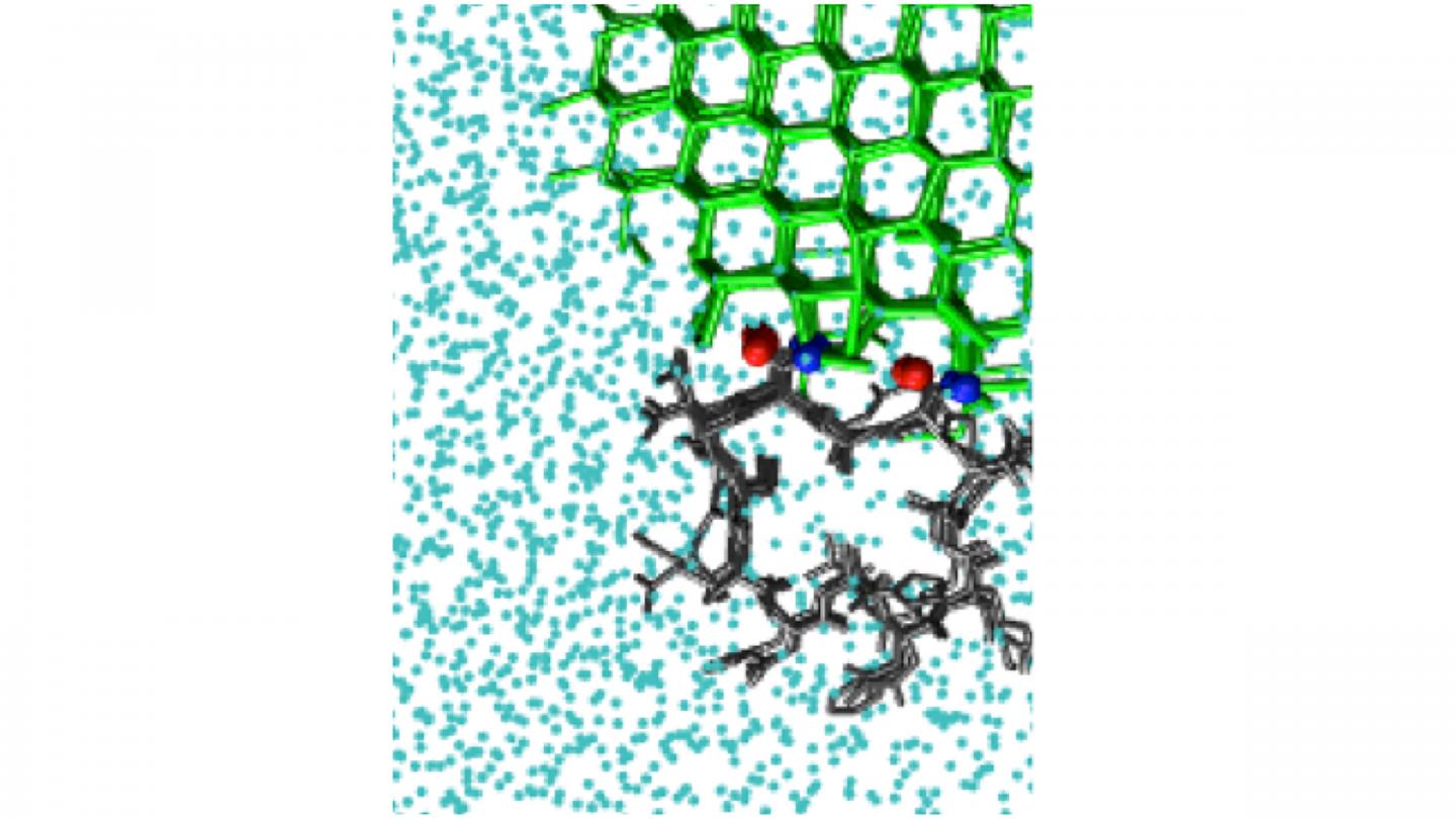 Ice-biasing simulations