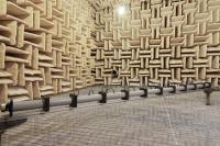 Sound Waves Can Travel Across a Disordered Media with No Distortion