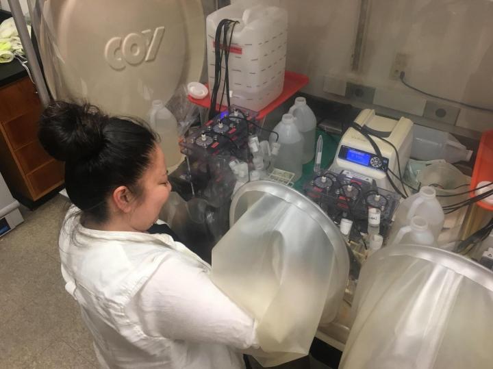 Flow-Through Reactor Experimental System -- MBL Ecosystems Center