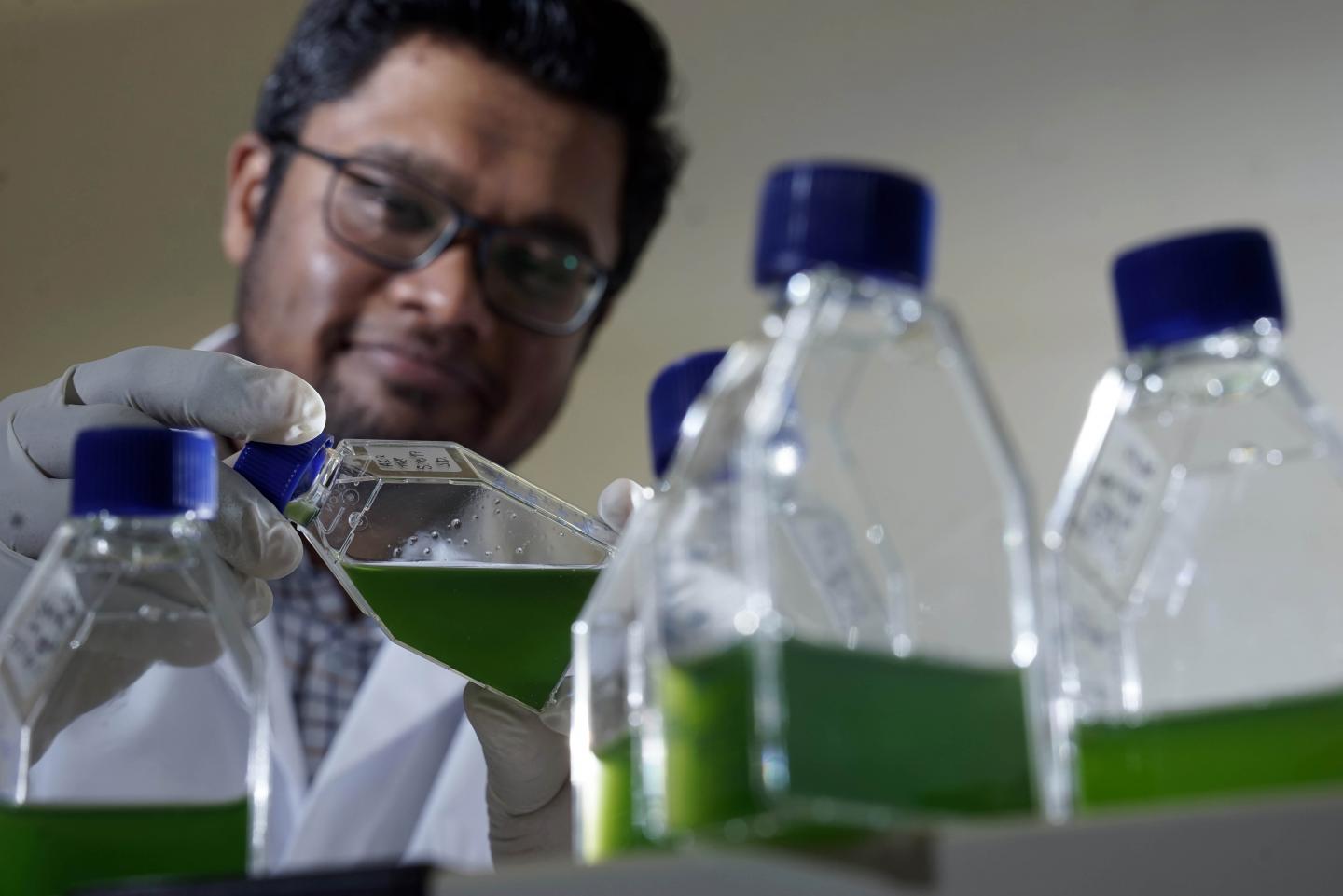 Prasad Aiyar, Friedrich Schiller University