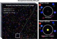 Dark-field Microscopic Analysis of Assembly AND Gate Operation on Lipid Nanotablet