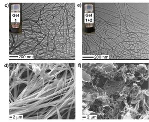 Images from two different electron microscopy analyses of Fmoc-pentafluoro-phenylalanine hydrogel alone