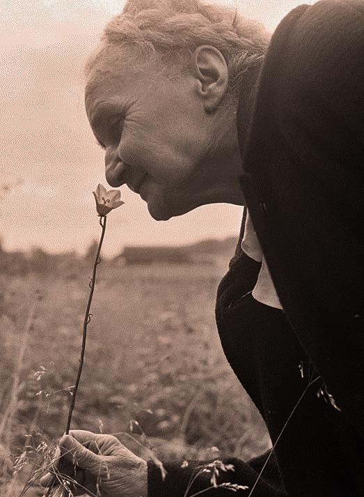 The Sense of Smell: Undervalued?