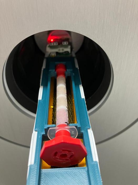 Fig. 1: The reconstructed 3D cell tissue is subjected to a PET scan.