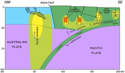 Water in a Subduction Zone