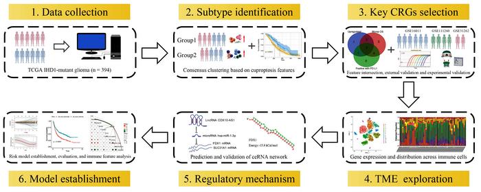 Graphical abstract