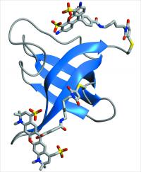 Amino Acid Chain Folding into a 3-D Protein