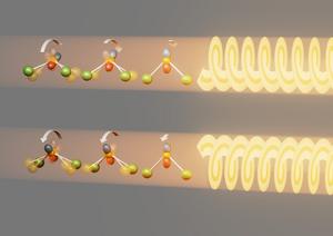 Experiments with circularly polarised X-ray light prove the existance of chiral phonons