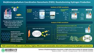 Revolutionizing Hydrogen Production: Affordable Catalyst Developed by Tokyo University of Science