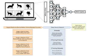 Flow diagram depicting the process from collecting images to training and evaluating the model.