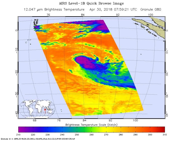 Infrared image of Flamboyan