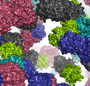 New technique for modeling molecular life with computers