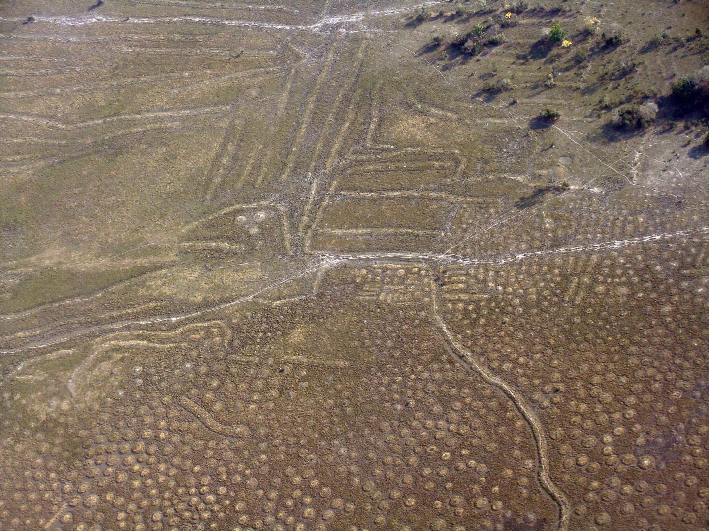 Raised Fields in the Bolivian Llanos de Moxos Region
