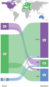 Flows of non-native insects between North America, Europe, and Australasia.