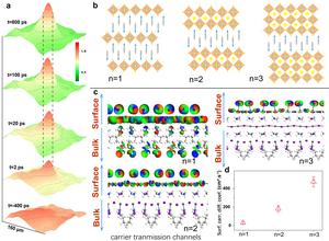 Figure 2 | Photo-generated carrier transport properties on the surface of 2D perovskite materials.