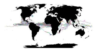 Emerging Patterns in the Plankton (1 of 2)