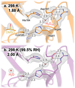 Mpro enzyme active site at different relative humidities