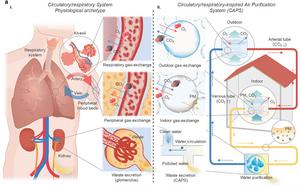 Figure 1. Conceptual configuration of an air filtration system simulating the human circulatory system/respiratory tract