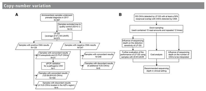 Flowchart of the study design