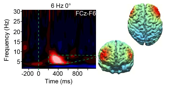 Synchronization Between Brain Waves