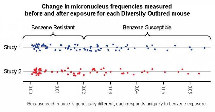 Change in Micronucleus Frequencies 