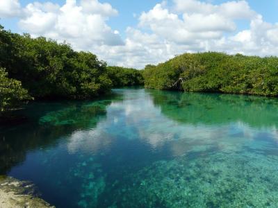 Sinkhole, or 'Cenotes'