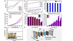 Study Elucidates the Regulation Mechanism for Electrocatalytic Nitrate Reduction