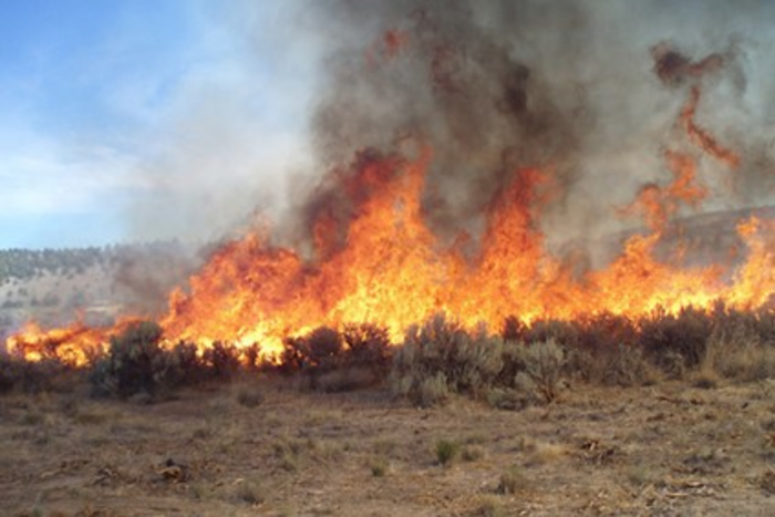 Rangeland fire