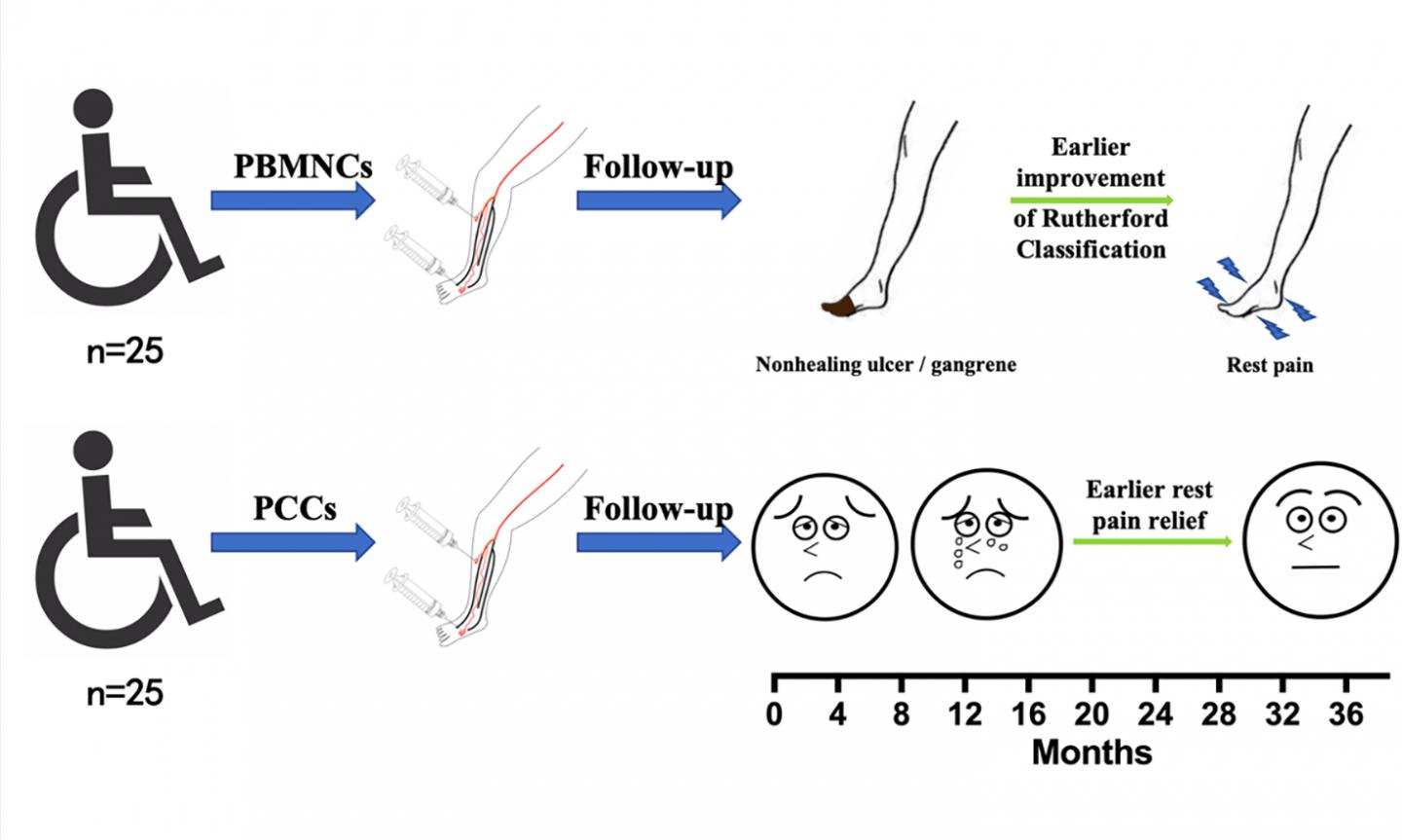 Graphical Abstract