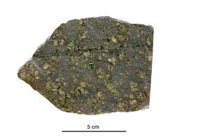 An ancient rock dredged from the seafloor and studied by the research team.