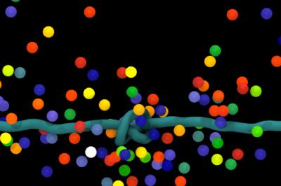 Simulation of a Knotted DNA Chain Under Mechanical Tension