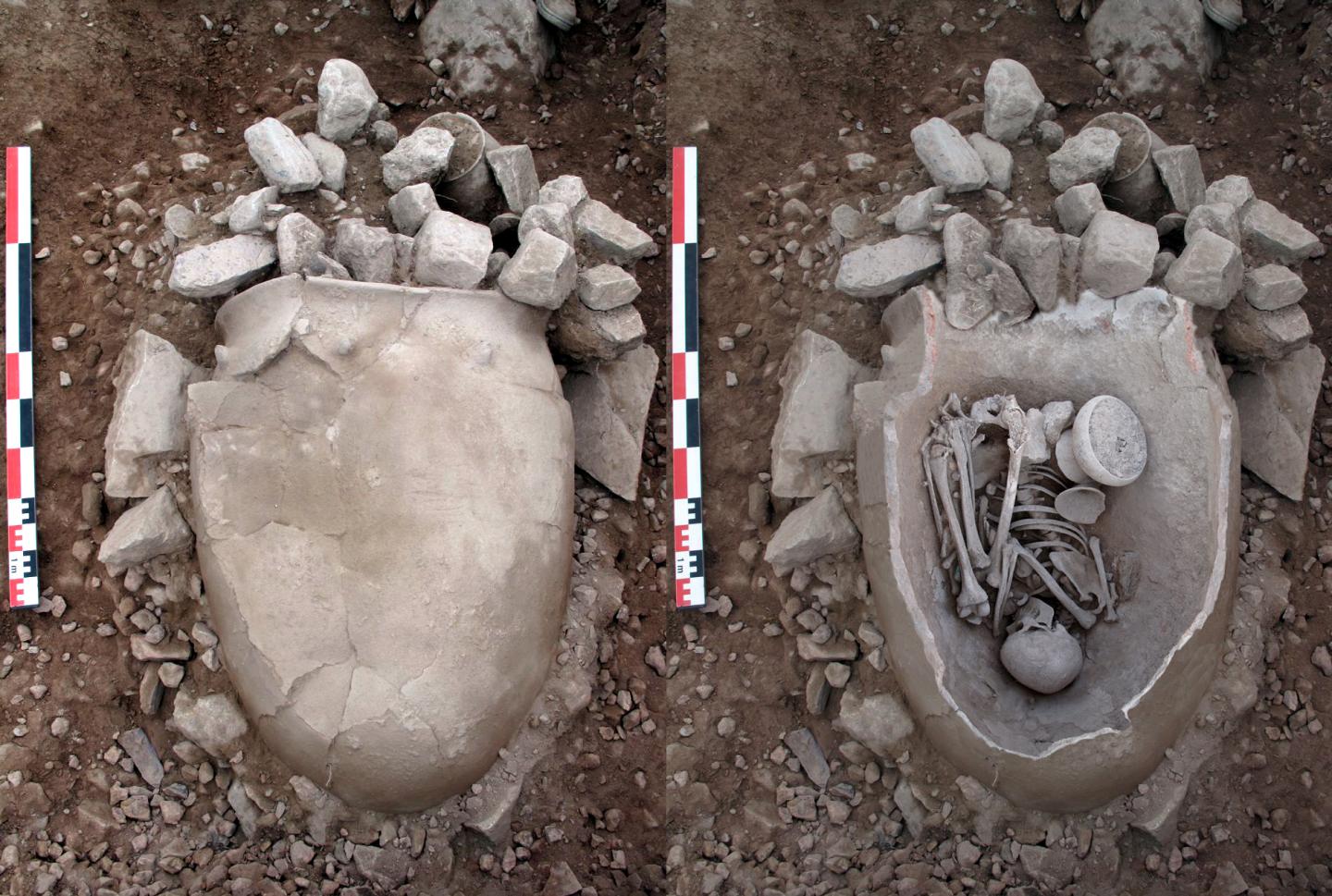 Intensive Management of Crops and Livestock Spurred La Bastida's Economic Development