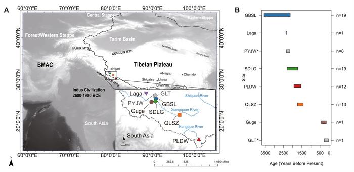 The spatial and temporal distribution of Ngari samples involved in the study