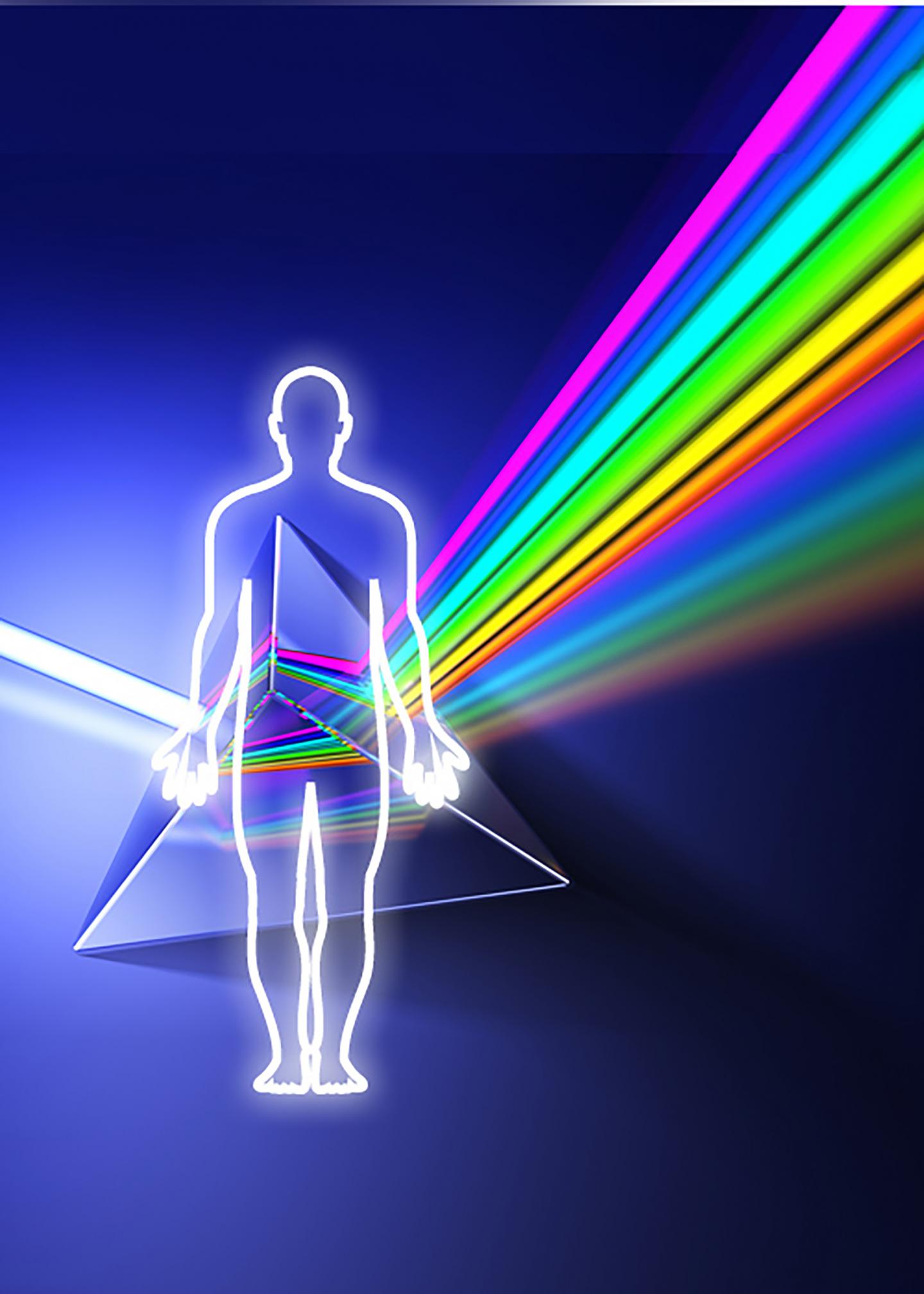 GTEx How Our Code Regulates Gene Exp EurekAlert!