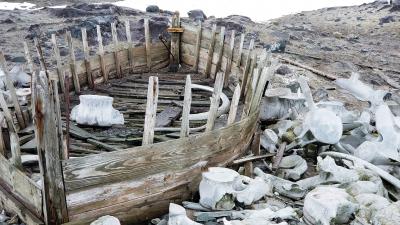 McMahon et al. Image (19)