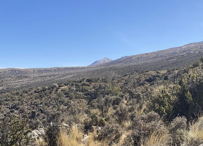 Shrubland landscape on the Pichu Pichu volcano (Arequipa, Peru).