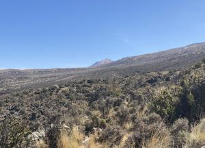 Shrubland landscape on the Pichu Pichu volcano (Arequipa, Peru).