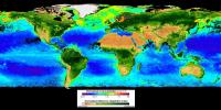 Global Photosynthesis Producing Oxygen