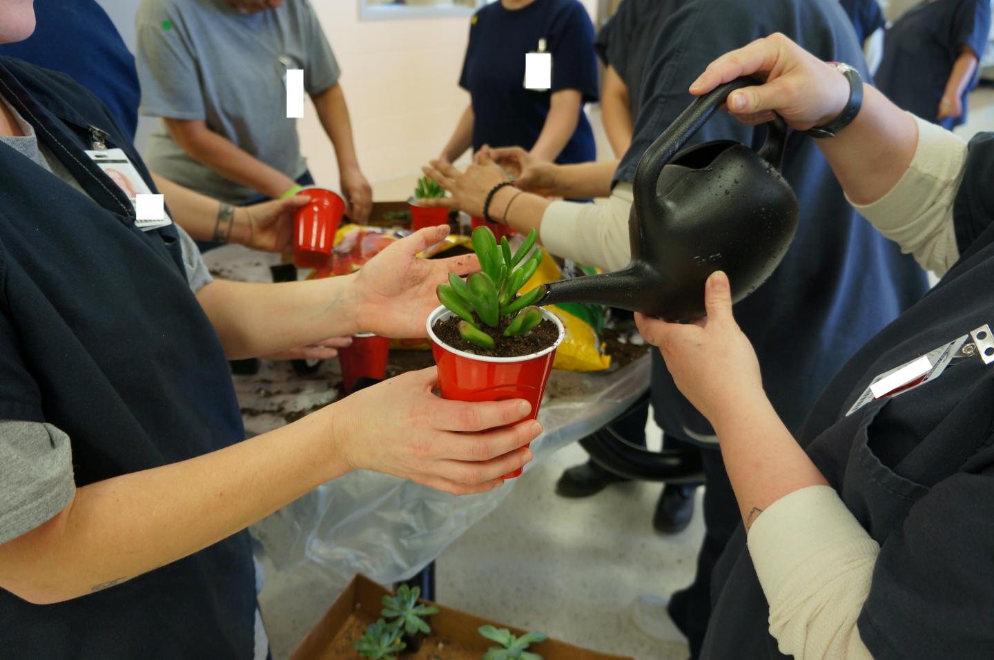 Participants Prepare Plants